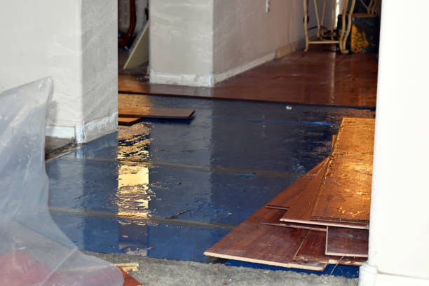 Professional Sewage Cleanup technician working in Britt, MN